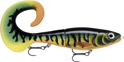 Produktbild von Rapala X-Rap Otus 25cm Hot Tiger Pike Gewicht 90g
