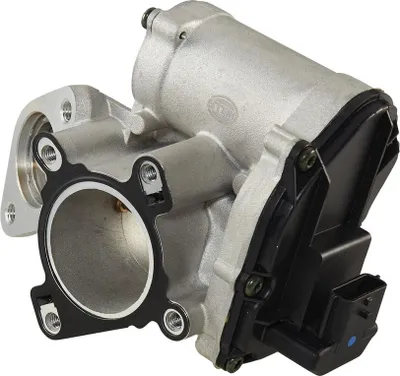 Produktbild von HELLA 6NU 014 864-101 AGR-Ventil mit Dichtungen für NISSAN Qashqai / Qashqai +2 I (J10, NJ10) Abgasrückführungsventil