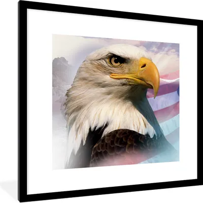 Produktbild von MuchoWow® Gerahmtes Poster Ein amerikanischer Weißkopfseeadler mit einer amerikanischen Flagge und Bergen 40x40 cm - Poster mit Schwarzem Bilderrahmen Wandposter Rahmen Foto Bilder - Poster - Plakat im Rahmen