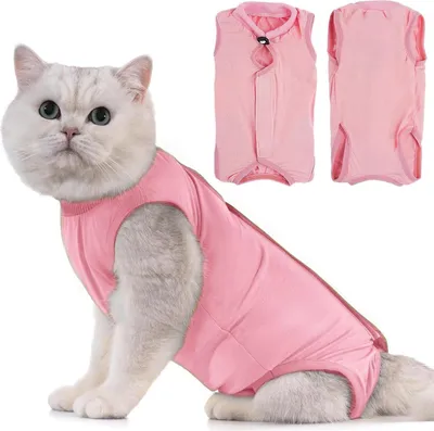 Produktbild von Katzenbody Erholungsanzug Modal Recovery Kastration Leckschutz M-Rose