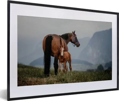 Produktbild von MuchoWow® MuchoWow® Gerahmtes Poster Pferd - Fohlen - Berg 60x40 cm - Poster mit zchwarzem Bilderrahmen - Schlafzimmer - Plakat in Rahmen - Drucken