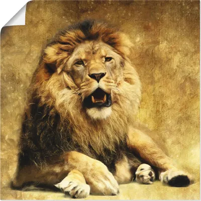 Produktbild von ARTland Poster Der König - Löwe Größe: 70x70 cm