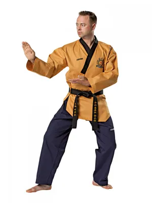 Produktbild von Poomsae Grandmaster Anzug 180