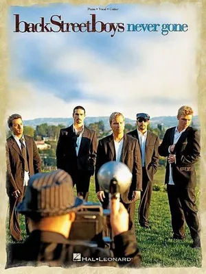 Produktbild von Backstreet Boys - Never Gone