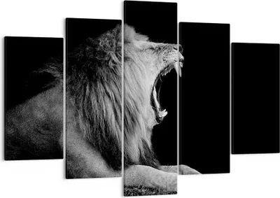 Produktbild von Bild auf Leinwand - Leinwandbild - 5 Teile - Löwe Gähnen Schwarz und Weiß - 150x100cm - Wand Bild - Wanddeko - Wandbilder - Leinwanddruck - Bilder - Wanddekoration - Leinwand bilder - EA150x100-4252