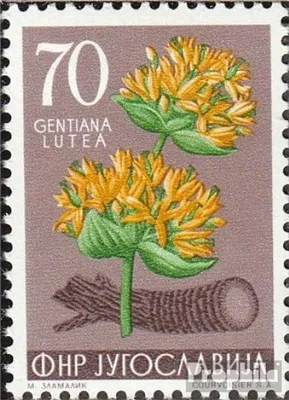 Produktbild von Briefmarken Jugoslawien 1955 Mi 772 gestempelt Jugoslawische Flora