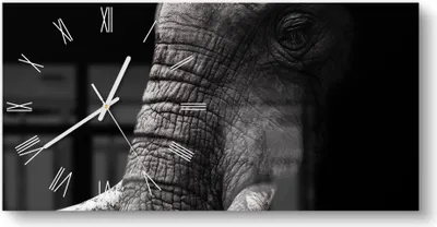 Produktbild von DEQORI Glasuhr 60x30 cm Römisch 'Weisheit der Wildnis' Wanduhr Glas Uhr Design leise Küchenuhr