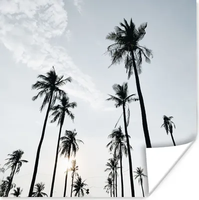 Produktbild von MuchoWow® Poster Palmen - Sommer - Tropisch 75x75 cm - Wand Dekoration