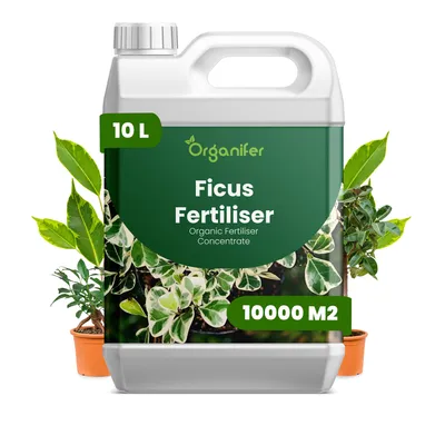 Obrázok produktu pre Ficus – Tekuté hnojivo 10 L – 2-1-8 NPK – Pre zelené rastliny – Pre zdravé listy a silný rast – Podporuje korene a vitalitu – Organický produkt