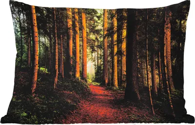 Produktbild von MuchoWow® Outdoor Kissen - Wald - Natur - Bäume - Landschaft - Laub - 50x30 cm - Wetterfest - Lounge Kissen - Sofa kissen - Wohnzimmer Dekoration