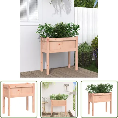 Zdjęcie produktu dla The Living Store Sadzarka z nogami 70x31x70 cm z litego drewna daglezji zielonej