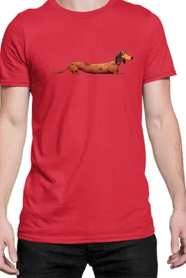 Immagine prodotto di Maglietta da uomo Funny Dogs Breeds Dachshund Dog Breed 020, Man S , Rouge