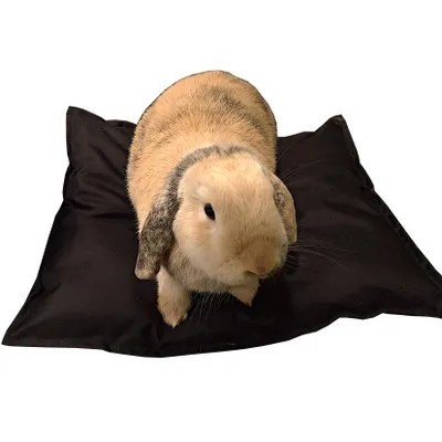 Immagine prodotto di Cuscino morbido impermeabile, cuccia, gabbia, lettiera per conigli e furetti; coniglio, furetto nero