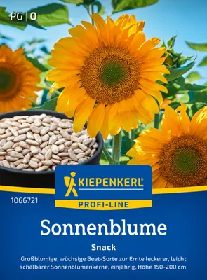 Produktbild von Kiepenkerl Sonnenblumensamen Snack Helianthus annuus 20 Pflanzen