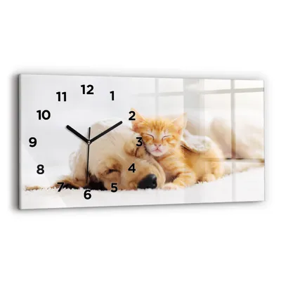 Produktbild von Wallfluent Wanduhr – Stilles Quarzuhrwerk - Uhr Dekoration Wohnzimmer Schlafzimmer Küche - Zifferblatt - schwarze Zeiger - 60x30 cm - Schläfrige Katze und Hund