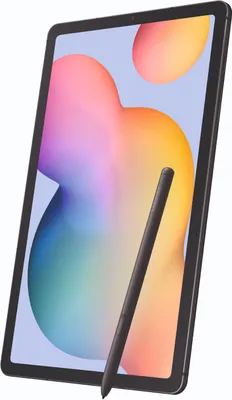 Immagine prodotto di Samsung Galaxy Tab S6 Lite (2024) 64 GB Wifi + 5G Oxford Grigio