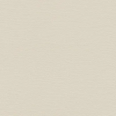 Obrázok produktu pre A.S. Creation | Natural Living | 376033 | Netkaná tapeta | Jednofarebná | 10,05 x 0,53 m | Béžová | Obývacia izba | Chodba | Kancelária | Kuchyňa | Obývacie izby