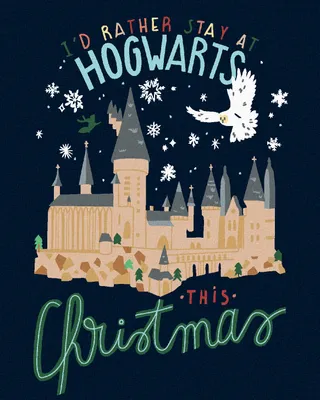 Image de Zuty - Peinture par numéros - NOËL À BRIMBORIO (HARRY POTTER), 40 x 50 cm, sans cadre et sans toile tendue