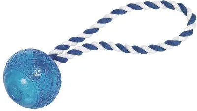 Obrázek produktu pro Hračka pro psy z TPR, modrá, 26 cm