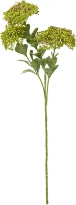 Produktbild von Hill Interiors - Kunstblume HI5062 (Einheitsgröße) (Grün)