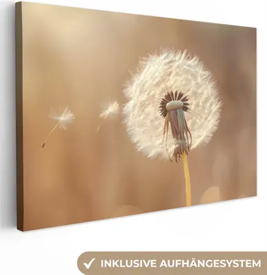 Produktbild von Leinwand Bilder 120x80 cm - Blumen - Löwenzahn - Beige, Wandbilder, Wanddeko Wohnzimmer, Bild