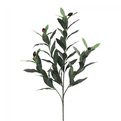 Produktbild von Künstlicher Olivenzweig 50cm. Olivenast Olivenbaum Zweig mit 4 Trieben