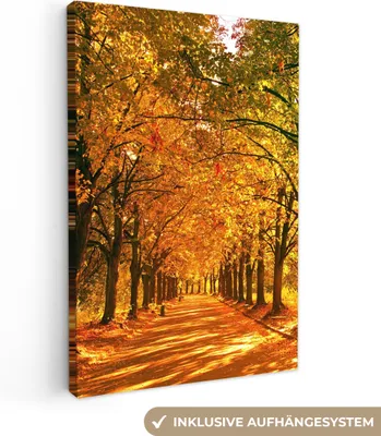 Produktbild von MuchoWow® - Leinwandbilder - Wald - Herbst - Jahreszeiten - Ländlich, Wandbild, Wanddeko Bilder Wohnzimmer, 60x90 cm