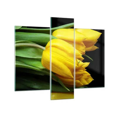 Produktbild von Bilder auf glas - Tulpen Strauß Spiegelreflexion grün - 95x80cm - Glasbilder - Wandbilder - Kunstdruck - Wanddekoration aus Glas - Glas Bilder - Wandbild auf Glas - GCB95x80-0509