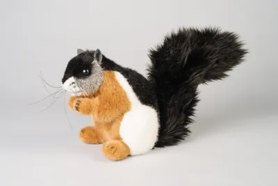 A plush toy squirrel sitting on a plain background.