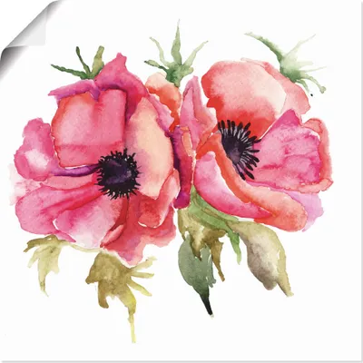 Produktbild von ARTland Poster Mohnblumen Größe: 50x50 cm