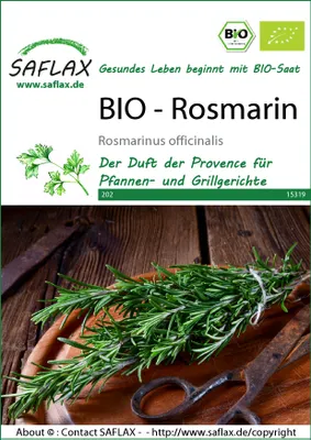 Productafbeelding van SAFLAX -  - Rozemarijn - 40 zaden - Rosmarinus officinalis
