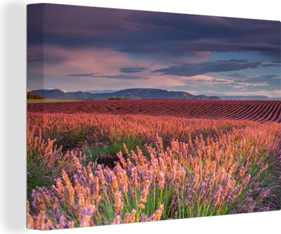 Produktbild von OneMillionCanvasses® - Leinwandbilder - 140x90 cm, Frankreich - Lavendel - Luft, Wandbilder Kunstdruck Wanddekoration