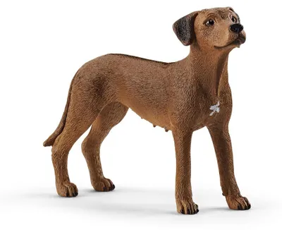 Productafbeelding van Farm World Rhodesian Ridgeback, speelgoedfiguur