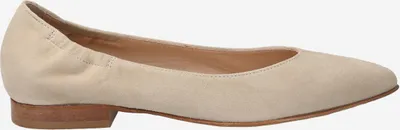 Produktbild von Maripé DRUSILLA V.10 ECRU, Ballerina in Beige für Damen, Größe 39