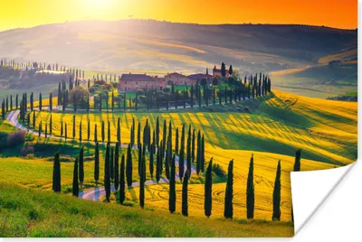 Produktbild von MuchoWow® Poster Gras - Sonne - Hügel - Landschaft 180x120 cm - Fotoplakat