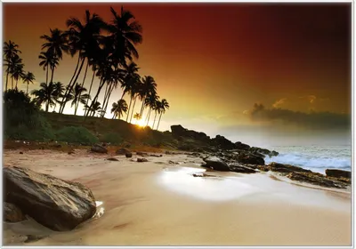 Produktbild von Wallario Wandbild Sri Lanka - Palmenstrand mit Sonnenuntergang, Größe: 70,30 x 100,30 cm, Poster mit weißem Kunststoffrahmen
