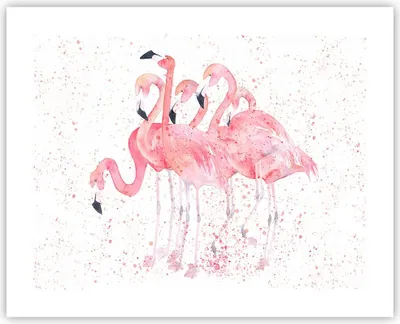 Produktbild von Poster - Poster ohne Rahmen - Flamingo Vogel Wasser - 50x40 cm - Wand Bild - Wanddeko - Wandbilder - Kunstposter - Wandposter - Bilder - Kunstdruck - Wanddekoration - Wandbild - P2XAA50x40-3899