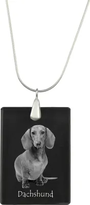 Immagine prodotto di Bassotto a pelo duro - Ciondolo in cristallo con cane, collana in argento con foto, ciondolo personalizzato del marchio Art-Dog