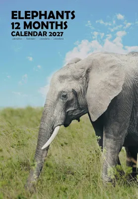 Zdjęcie produktu dla Kalendarz Olifanten 2027 format A3 z pięknymi ilustracjami