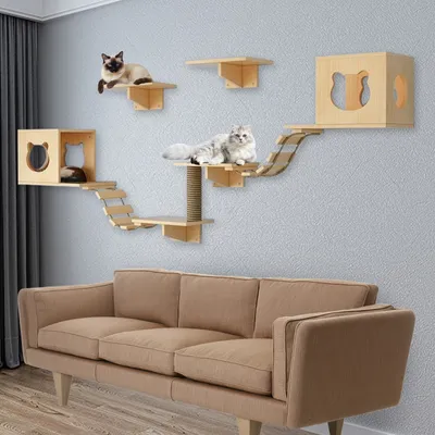 A living room scene with a sofa and cat furniture mounted on the wall.