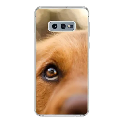 Produktbild von MuchoWow® Handyhülle Schutzhülle Hülle für Samsung Galaxy S10e Das Glitzern im Auge des Golden Retrievers Silikon Softcase Handy Hülle - Handy