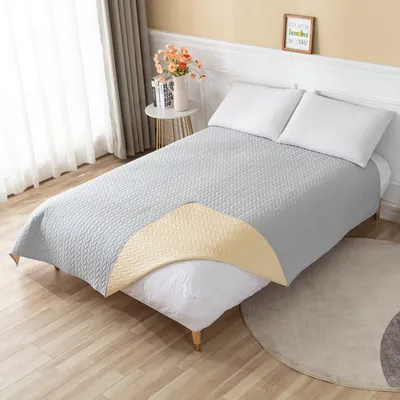 Produktbild von Wasserdichte Bettdecke für Haustiere, waschbar, rutschfest, Sofabezug, Möbelschutz, Inkontinenz-Bettunterlagen für Haustiere, Kinder (220 x 210cm, Hellgrau)
