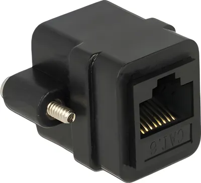 Obrázek produktu pro Delock Panel-Mount - Netzwerkkoppler - RJ-45 (W)