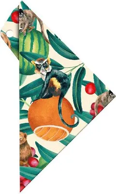 Productafbeelding van Aristo Geocover 16 cm met geodriehoek AR1552 + beschermhoes met het motief TropicLife