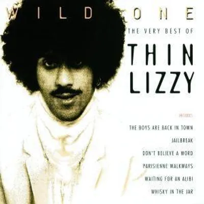 Immagine prodotto di Wild One - Il meglio di