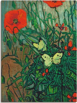 Produktbild von ARTland Leinwandbild Schmetterlinge auf Mohnblüten Größe: 30x40 cm