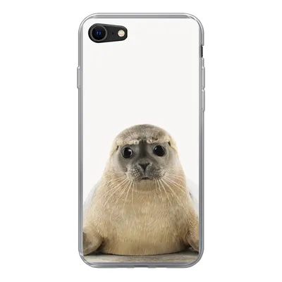 Produktbild von MuchoWow® Handyhülle Schutzhülle Hülle für iPhone SE 2020 Robbe - Tiere - Kinder - Jungen - Mädchen - Kinder Silikon Softcase Handy Hülle - Kartenbesitzer