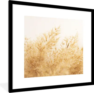 Produktbild von MuchoWow® Gerahmtes Poster Pampasgras - Sonne - Gras 40x40 cm - Poster mit Schwarzem Bilderrahmen Wandposter Rahmen Foto Bilder - Poster - Plakat im Rahmen