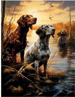 Produktbild von "Malen nach Zahlen: Drei Hunde in einer Feuchtzone, 50x40 cm, mit Rahmen. Kreatives Bild."