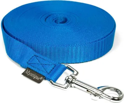 Produktbild von Mystique® Leinen Nylon 20mm mit Handschlaufe 15.00m blau